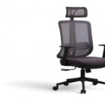 Minotti Koltuk