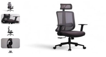 Minotti Koltuk