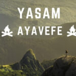 Yaşam Ayavefe, Sürdürülebilir İş Modelleri ile Finansal Hizmetler Sunuyor