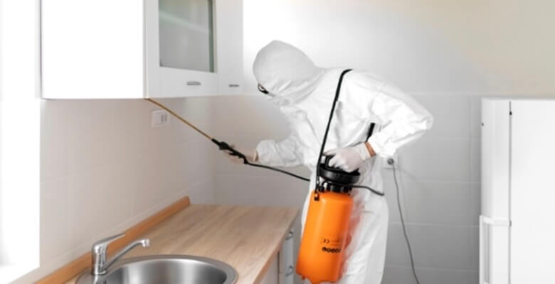 Profesyonel Böcek İlaçlama ile Evde Yapılan Yöntemler Arasındaki Farklar