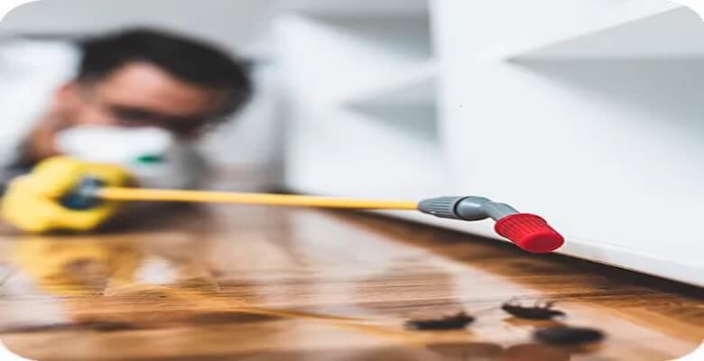 Evcil Hayvanlarınızı Koruyarak Böceklerden Kurtulun: Ankara’da Evcil Hayvan Dostu İlaçlama Hizmetleri