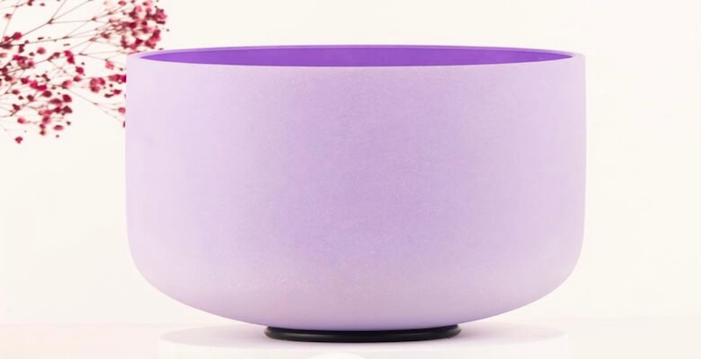 Mitr: Sessiz Ama Güçlü Bir Yol Arkadaşı