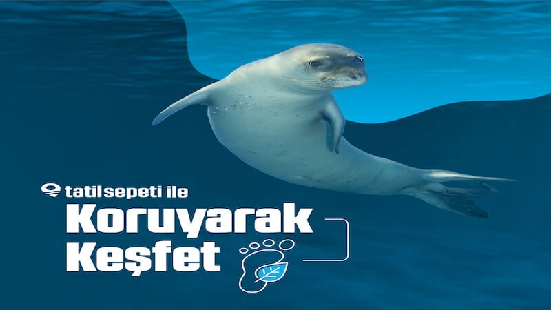 Tatilde Doğayı Koruyarak Keşfedin