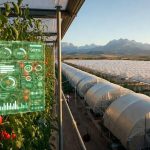 Antalya’da Tarım 2.0